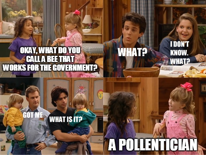 Michelle and Friend Tell a Joke | OKAY, WHAT DO YOU CALL A BEE THAT WORKS FOR THE GOVERNMENT? A POLLENTICIAN | image tagged in michelle and friend tell a joke,memes | made w/ Imgflip meme maker