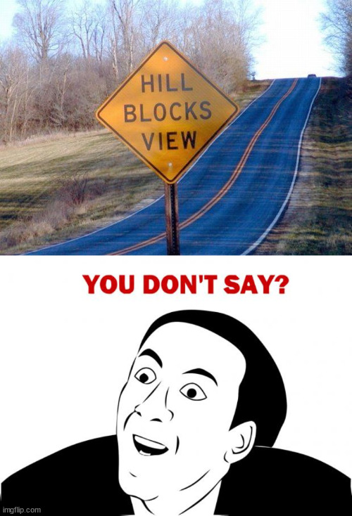 Does it block the view? | image tagged in memes,you don't say,funny,funny road signs,lol,lmao | made w/ Imgflip meme maker