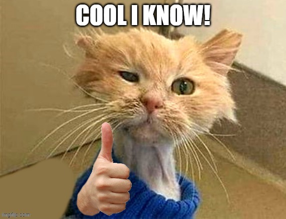 thumb cat | COOL I KNOW! | image tagged in thumb cat | made w/ Imgflip meme maker