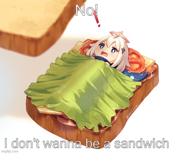 Paimon Sandwich meme | No! I don't wanna be a sandwich | image tagged in paimon sandwich,paimon,genshin impact,memes | made w/ Imgflip meme maker