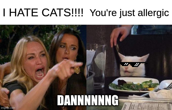 Woman Yelling At Cat Meme | I HATE CATS!!!! You're just allergic; DANNNNNNG | image tagged in memes,woman yelling at cat | made w/ Imgflip meme maker