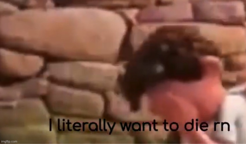 Luca wants to die =D | image tagged in luca wants to die d | made w/ Imgflip meme maker