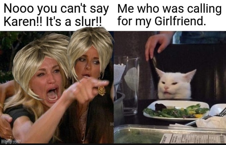 image tagged in karen,woman yelling at cat,funny | made w/ Imgflip meme maker