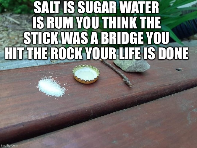 trap | SALT IS SUGAR WATER IS RUM YOU THINK THE STICK WAS A BRIDGE YOU HIT THE ROCK YOUR LIFE IS DONE | image tagged in trap | made w/ Imgflip meme maker