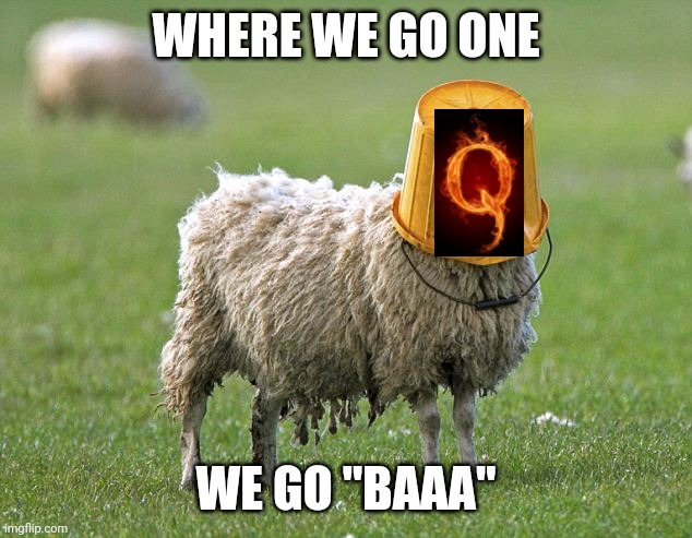 stupid sheep | WHERE WE GO ONE; WE GO "BAAA" | image tagged in stupid sheep | made w/ Imgflip meme maker