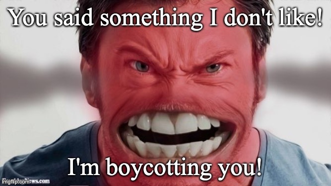 Conservatives and Liberals both be guilty of this | You said something I don't like! I'm boycotting you! | made w/ Imgflip meme maker