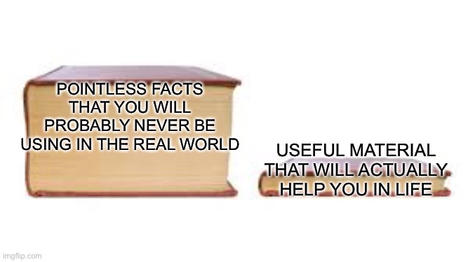 Learning in a shellnut | POINTLESS FACTS THAT YOU WILL PROBABLY NEVER BE USING IN THE REAL WORLD; USEFUL MATERIAL THAT WILL ACTUALLY HELP YOU IN LIFE | image tagged in big book small book | made w/ Imgflip meme maker