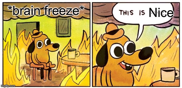 This Is Fine | *brain freeze*; Nice | image tagged in memes,this is fine | made w/ Imgflip meme maker