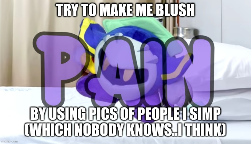 Meta Knight pain | TRY TO MAKE ME BLUSH; BY USING PICS OF PEOPLE I SIMP
(WHICH NOBODY KNOWS..I THINK) | image tagged in meta knight pain | made w/ Imgflip meme maker