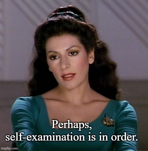 Counselor Deanna Troi | Perhaps, self-examination is in order. | image tagged in counselor deanna troi | made w/ Imgflip meme maker