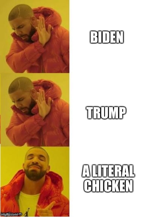 I’ve decided that basically every president has their corrupt views and deductions and that a chicken might even be a better pre | BIDEN; TRUMP; A LITERAL CHICKEN | image tagged in drake no no yes,politics,memes,presidential debate | made w/ Imgflip meme maker