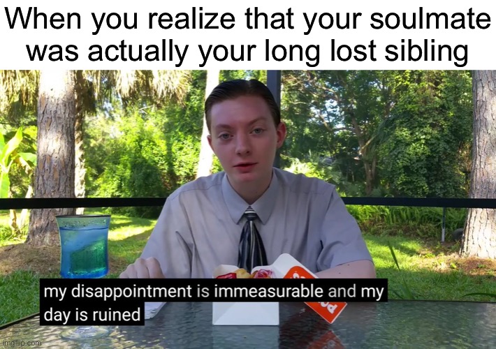 But it was an accident! | When you realize that your soulmate was actually your long lost sibling | image tagged in my disappointment is immeasurable | made w/ Imgflip meme maker