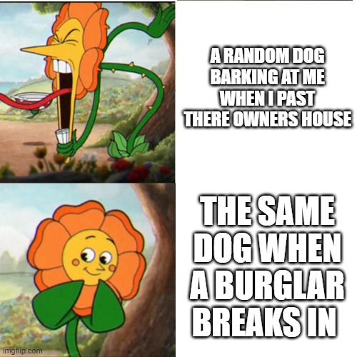 Cuphead Flower | A RANDOM DOG BARKING AT ME WHEN I PAST THERE OWNERS HOUSE; THE SAME DOG WHEN A BURGLAR BREAKS IN | image tagged in cuphead flower | made w/ Imgflip meme maker