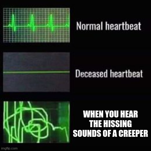 heartbeat rate | WHEN YOU HEAR THE HISSING SOUNDS OF A CREEPER | image tagged in heartbeat rate,minecraft creeper | made w/ Imgflip meme maker