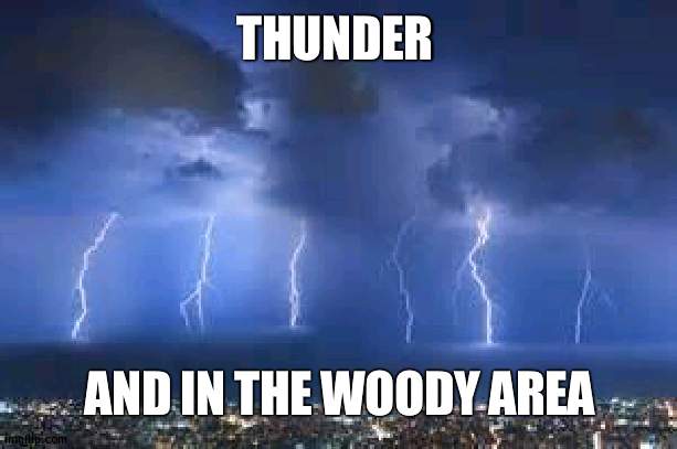 Bad internet | THUNDER; AND IN THE WOODY AREA | image tagged in thunderstorm,internet,woods | made w/ Imgflip meme maker