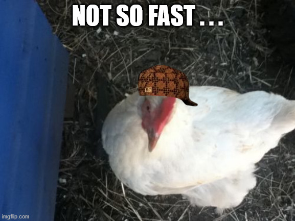 Angry Chicken Boss Meme | NOT SO FAST . . . | image tagged in memes,angry chicken boss | made w/ Imgflip meme maker