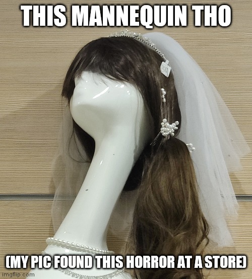 Wut Da Fuq Iz Dis | THIS MANNEQUIN THO; (MY PIC FOUND THIS HORROR AT A STORE) | image tagged in wut,wtf | made w/ Imgflip meme maker