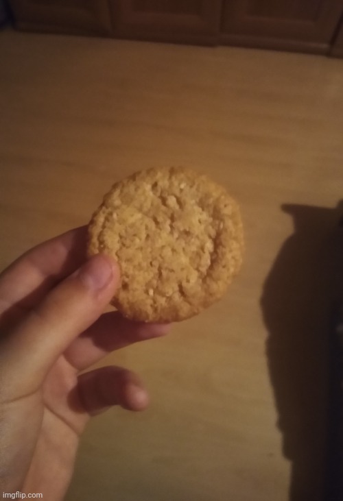 Have a cookie :3 | image tagged in cookies | made w/ Imgflip meme maker