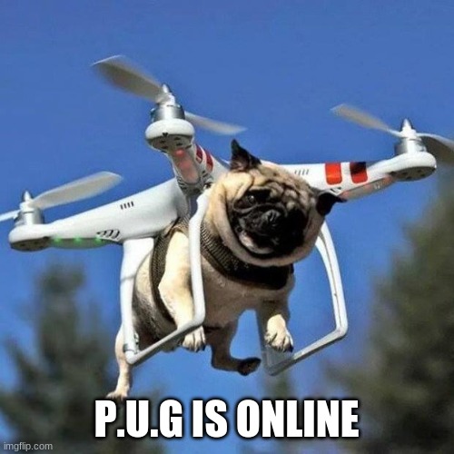 Flying Pug | P.U.G IS ONLINE | image tagged in flying pug | made w/ Imgflip meme maker