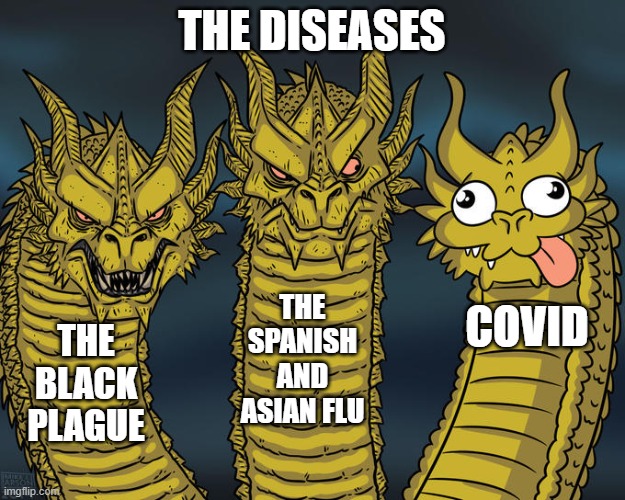 Three-headed Dragon | THE DISEASES; THE SPANISH AND ASIAN FLU; COVID; THE BLACK PLAGUE | image tagged in three-headed dragon | made w/ Imgflip meme maker