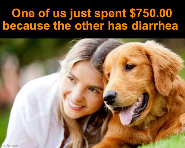 Guess Who | One of us just spent $750.00 because the other has diarrhea | image tagged in funny memes,funny dog memes | made w/ Imgflip meme maker