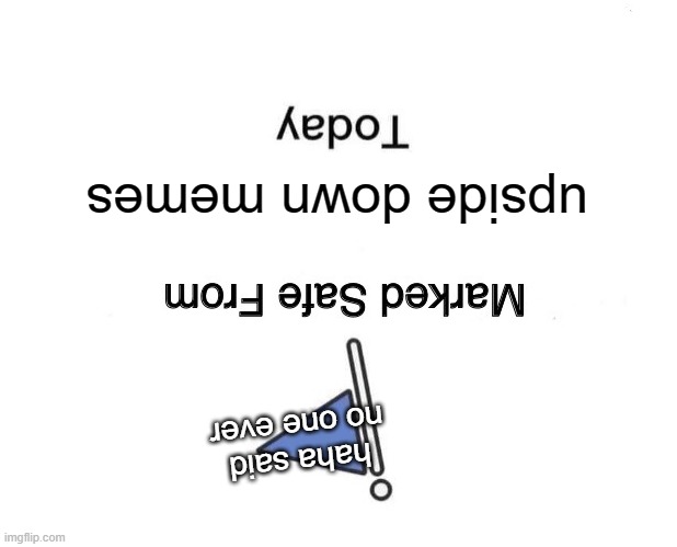 Marked Safe From | upside down memes; haha said no one ever | image tagged in memes,marked safe from | made w/ Imgflip meme maker