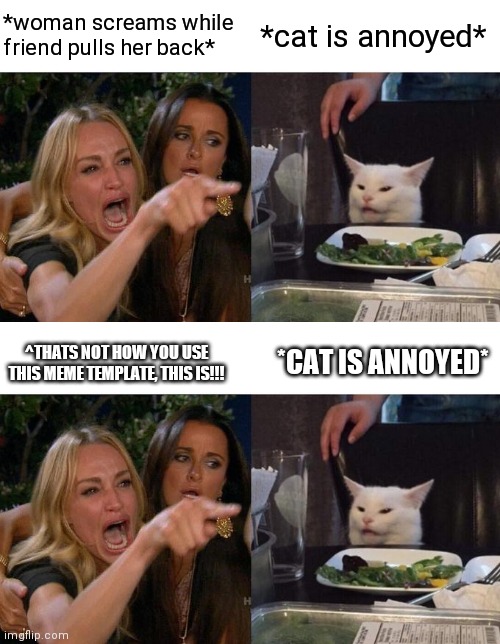 ._. | *woman screams while friend pulls her back*; *cat is annoyed*; *CAT IS ANNOYED*; ^THATS NOT HOW YOU USE THIS MEME TEMPLATE, THIS IS!!! | image tagged in memes,woman yelling at cat | made w/ Imgflip meme maker