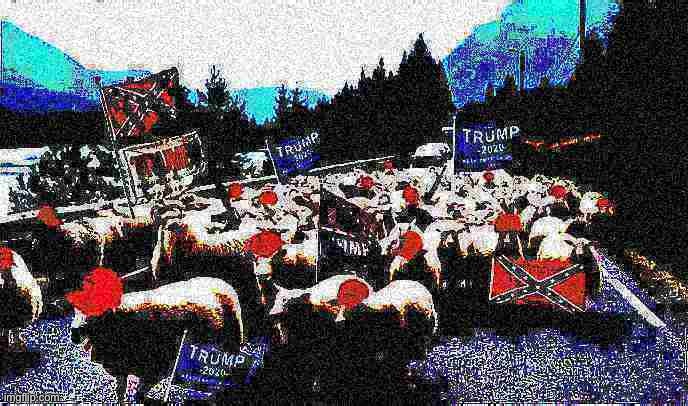 Trump sheeple deep-fried 3 | image tagged in trump sheeple deep-fried 3 | made w/ Imgflip meme maker