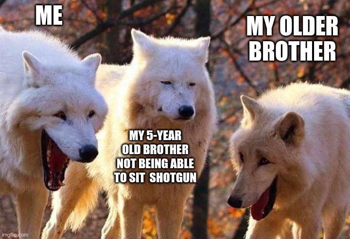 Little kids am I right? | ME; MY OLDER BROTHER; MY 5-YEAR OLD BROTHER NOT BEING ABLE TO SIT  SHOTGUN | image tagged in laughing wolf,memes,have a nice day | made w/ Imgflip meme maker