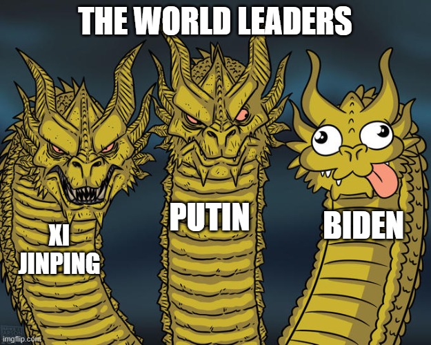 Three-headed Dragon | THE WORLD LEADERS; PUTIN; BIDEN; XI JINPING | image tagged in three-headed dragon | made w/ Imgflip meme maker