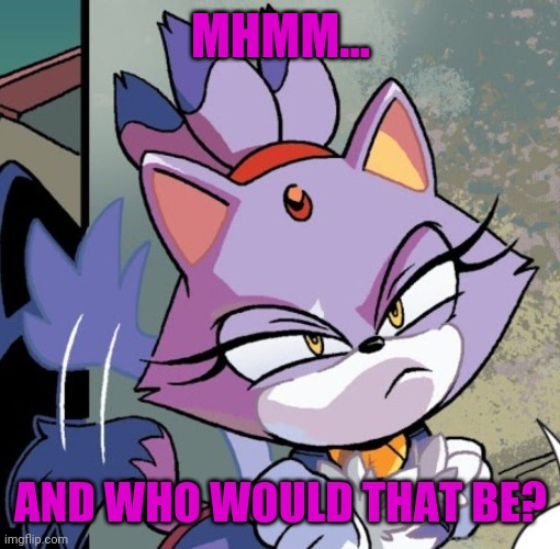 Blaze the cat | MHMM... AND WHO WOULD THAT BE? | image tagged in blaze the cat | made w/ Imgflip meme maker