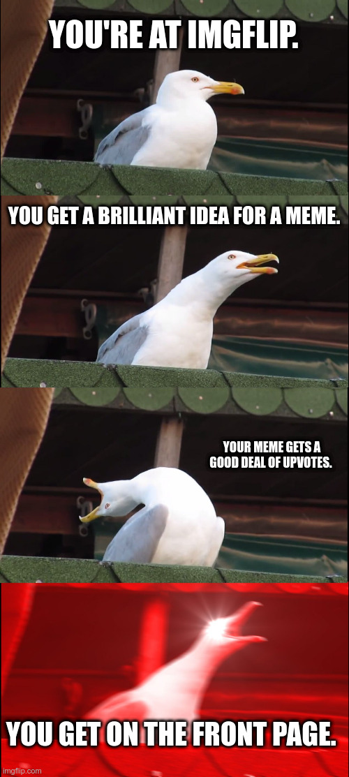 *shruggo* I had no better idea. XD | YOU'RE AT IMGFLIP. YOU GET A BRILLIANT IDEA FOR A MEME. YOUR MEME GETS A GOOD DEAL OF UPVOTES. YOU GET ON THE FRONT PAGE. | image tagged in memes,inhaling seagull | made w/ Imgflip meme maker