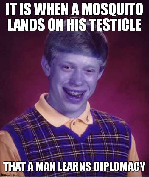 this is thy truth because yes | IT IS WHEN A MOSQUITO LANDS ON HIS TESTICLE; THAT A MAN LEARNS DIPLOMACY | image tagged in memes,bad luck brian,diplomacy,truth | made w/ Imgflip meme maker