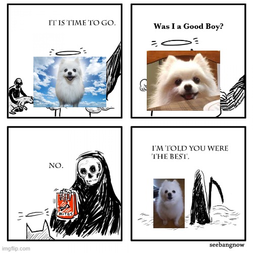 Do you remember him? | image tagged in was i a good guy | made w/ Imgflip meme maker