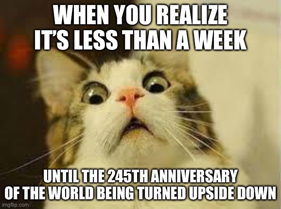 LOL a quarter millennia is 5 yrs away! | WHEN YOU REALIZE IT’S LESS THAN A WEEK; UNTIL THE 245TH ANNIVERSARY OF THE WORLD BEING TURNED UPSIDE DOWN | image tagged in shocked cat,funny,hamilton,the world turned upside down | made w/ Imgflip meme maker