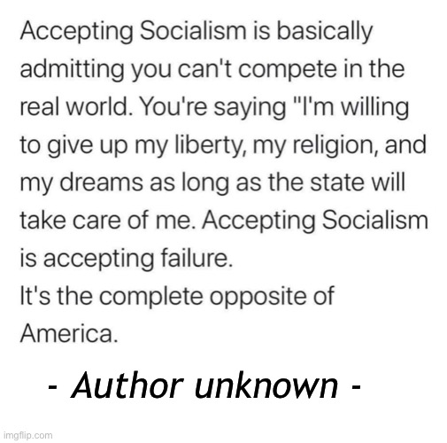 Don’t accept failure… | - Author unknown - | image tagged in socialism sucks,Conservative | made w/ Imgflip meme maker