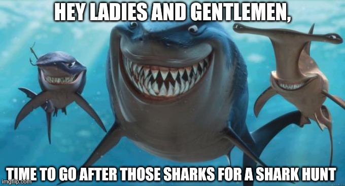 Shark hunt | HEY LADIES AND GENTLEMEN, TIME TO GO AFTER THOSE SHARKS FOR A SHARK HUNT | image tagged in finding nemo sharks,sharks,shark,memes,comment section,comments | made w/ Imgflip meme maker