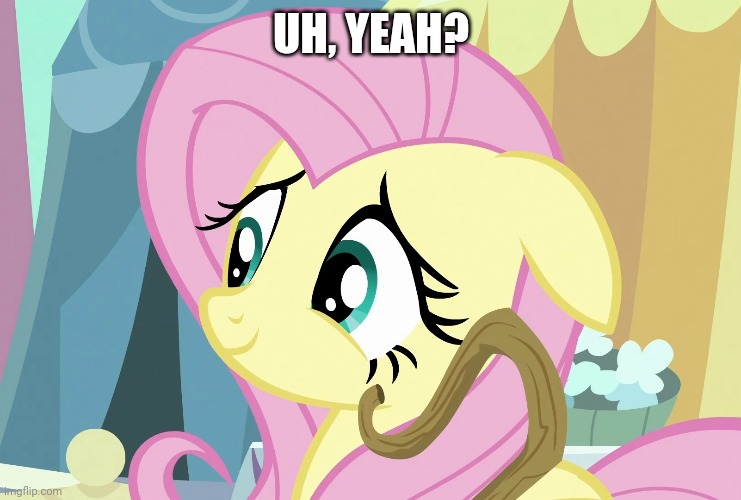UH, YEAH? | image tagged in fluttershy,shy,my little pony friendship is magic | made w/ Imgflip meme maker