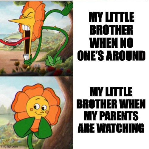 Cuphead Flower | MY LITTLE BROTHER WHEN NO ONE’S AROUND; MY LITTLE BROTHER WHEN MY PARENTS ARE WATCHING | image tagged in cuphead flower | made w/ Imgflip meme maker