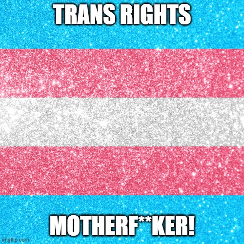 Don't you feel like screaming this sometimes? | TRANS RIGHTS; MOTHERF**KER! | image tagged in trans rights | made w/ Imgflip meme maker