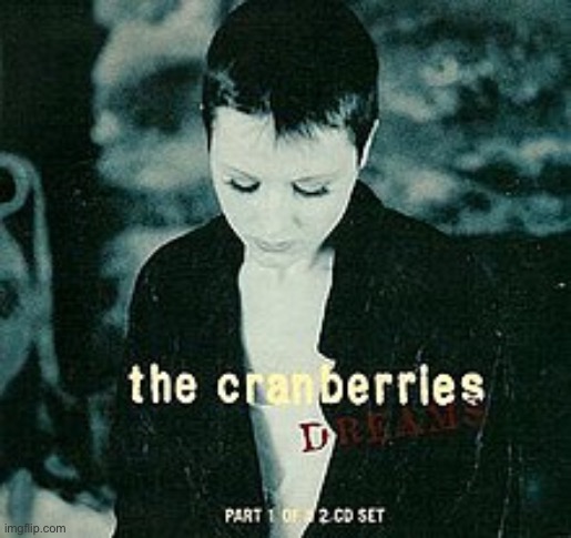 image tagged in the cranberries | made w/ Imgflip meme maker