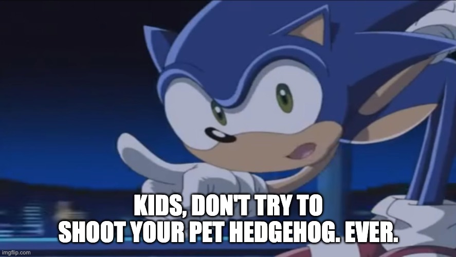 actually a good lesson kids. | KIDS, DON'T TRY TO SHOOT YOUR PET HEDGEHOG. EVER. | image tagged in kids don't - sonic x | made w/ Imgflip meme maker