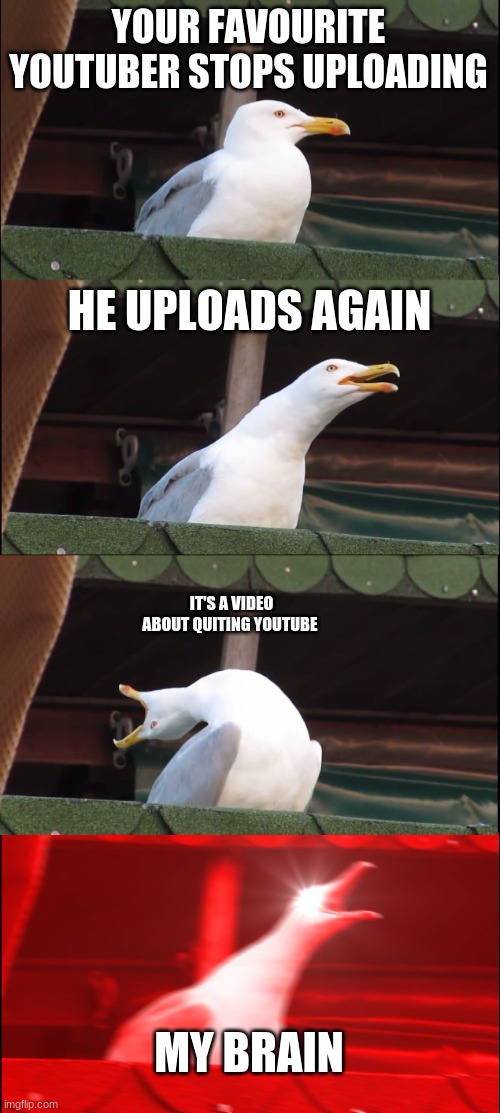 Inhaling Seagull | YOUR FAVOURITE YOUTUBER STOPS UPLOADING; HE UPLOADS AGAIN; IT'S A VIDEO ABOUT QUITING YOUTUBE; MY BRAIN | image tagged in memes,inhaling seagull | made w/ Imgflip meme maker