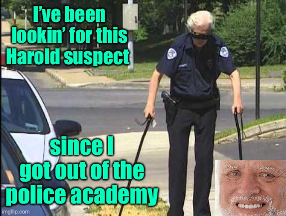 I’ve been lookin’ for this Harold suspect since I got out of the police academy | made w/ Imgflip meme maker