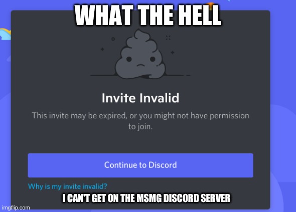 WHAT THE HELL; I CAN'T GET ON THE MSMG DISCORD SERVER | made w/ Imgflip meme maker