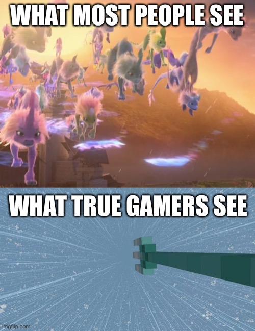 Riptide Trident | WHAT MOST PEOPLE SEE; WHAT TRUE GAMERS SEE | image tagged in minecraft,raya and the last dragon,riptide trident | made w/ Imgflip meme maker