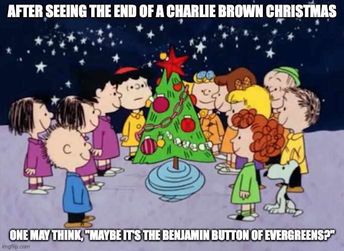 Final Result | AFTER SEEING THE END OF A CHARLIE BROWN CHRISTMAS; ONE MAY THINK, "MAYBE IT'S THE BENJAMIN BUTTON OF EVERGREENS?" | image tagged in peanuts,charlie brown,memes | made w/ Imgflip meme maker