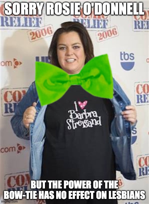 Rosie O' Donnell With Bowtie | SORRY ROSIE O'DONNELL; BUT THE POWER OF THE BOW-TIE HAS NO EFFECT ON LESBIANS | image tagged in memes,bowtie | made w/ Imgflip meme maker
