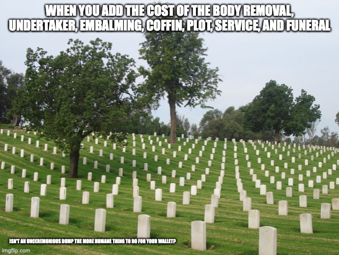 Cemetary | WHEN YOU ADD THE COST OF THE BODY REMOVAL, UNDERTAKER, EMBALMING, COFFIN, PLOT, SERVICE, AND FUNERAL; ISN'T AN UNCEREMONIOUS DUMP THE MORE HUMANE THING TO DO FOR YOUR WALLET? | image tagged in cemetery,memes | made w/ Imgflip meme maker