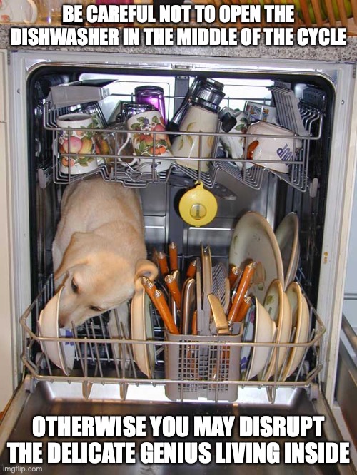 Dishwasher Dog | BE CAREFUL NOT TO OPEN THE DISHWASHER IN THE MIDDLE OF THE CYCLE; OTHERWISE YOU MAY DISRUPT THE DELICATE GENIUS LIVING INSIDE | image tagged in dog,memes | made w/ Imgflip meme maker